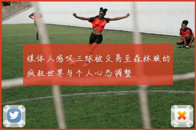 媒体人感叹三球被交易至森林狼的疯狂世界与个人心态调整