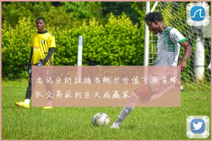 名记分析拉梅洛鲍尔价值飞涨黄蜂队交易获利巨大成赢家