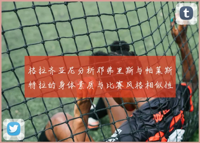 格拉齐亚尼分析邓弗里斯与帕莱斯特拉的身体素质与比赛风格相似性